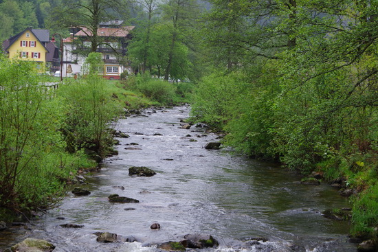 Die Sch&ouml;nzm&uuml;nz spielt eine wichtige Rolle in den B&uuml;chern von Manfred G. Das ist sie kurz vor ihrer M&uuml;ndung in die Murg in Sch&ouml;nm&uuml;nzach.